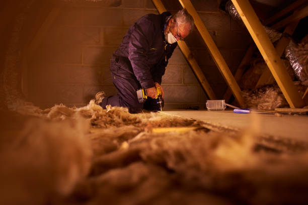 Best Blown-In Insulation  in Northeast Ithaca, NY